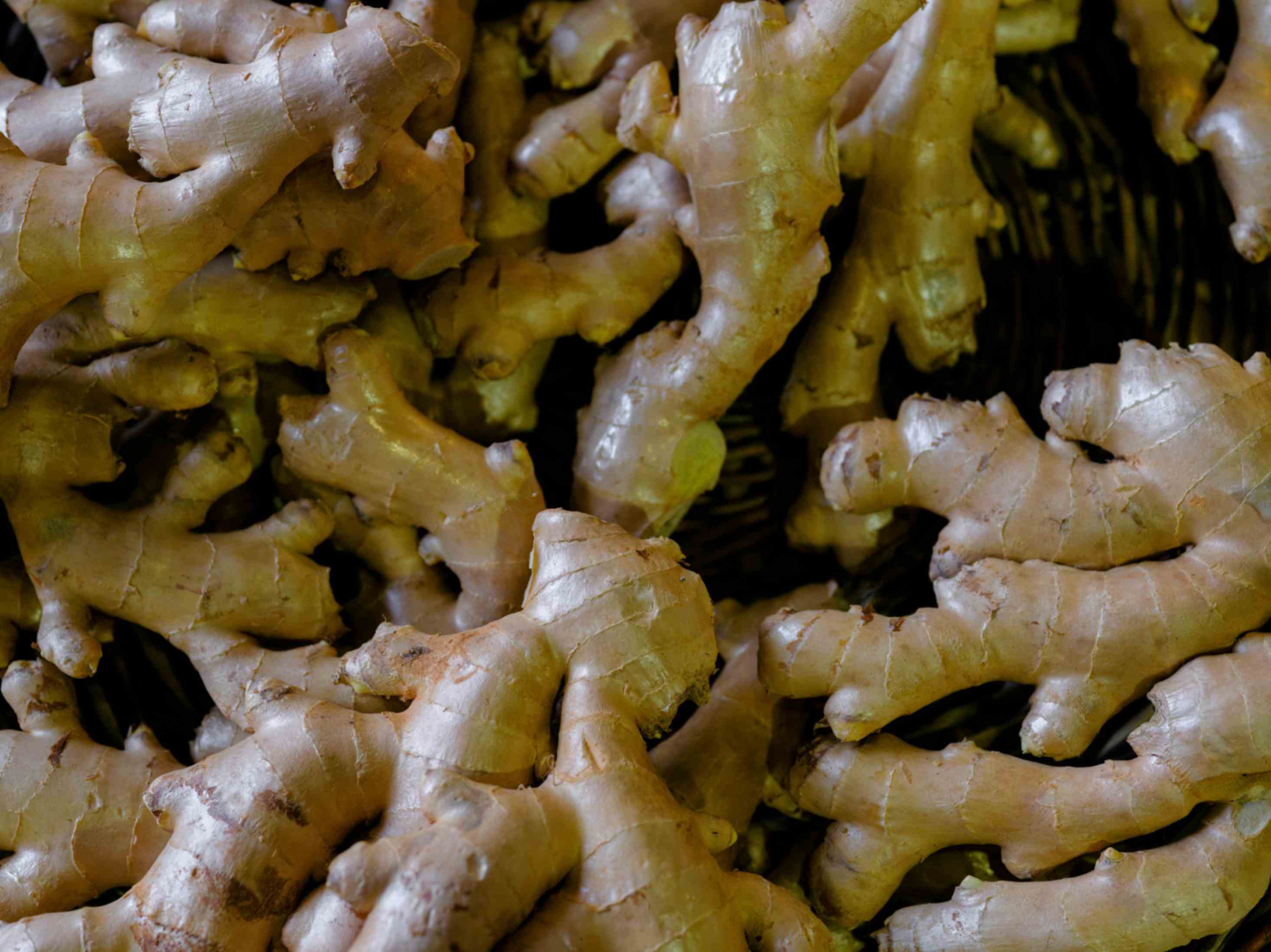 High-quality Indonesian clove ready for export from PT Mayakawa Sejahtera