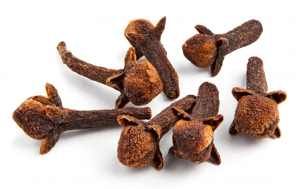 Clove